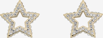 Ted Baker Earrings 'TANTUM' in Gold: front