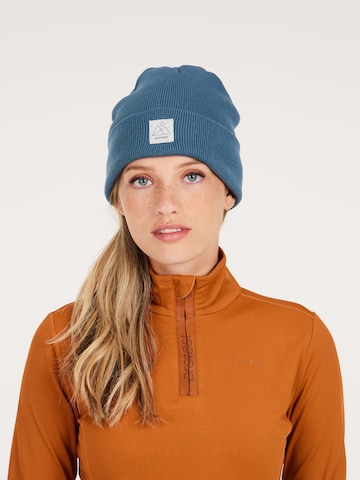 PROTEST Sportsweatshirt 'FABRIZ' in Braun