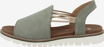 ARA Sandals in Green