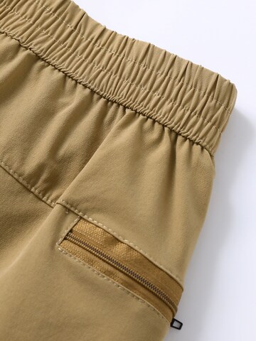 ALLTHEMEN Regular Trachtenhose 'Luftzug' in Braun