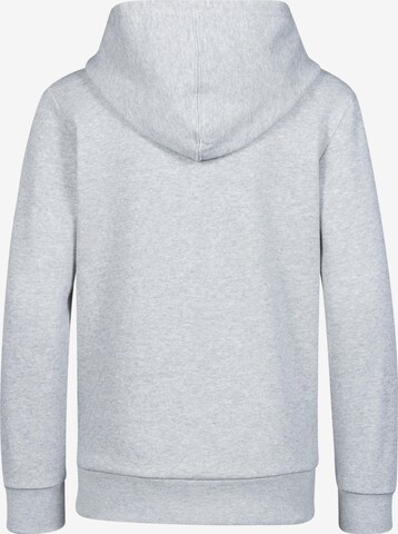 Champion Authentic Athletic Apparel Regular fit Sweatshirt in Grey