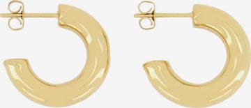 My Jewellery Ohrringe in Gold: predná strana