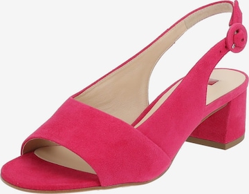 Högl Strap Sandals in Pink: front