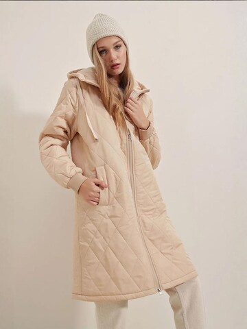 Manteau d’hiver Bigdart en marron
