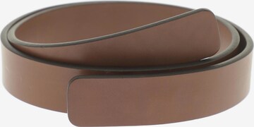 Agnona Belt in One size in Brown: front