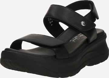 juoda PANAMA JACK Basutės su dirželiais 'Noor B1': priekis