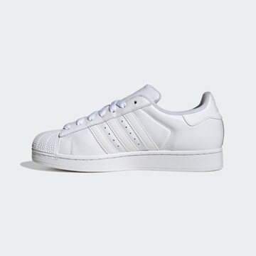 ADIDAS ORIGINALS Platform trainers 'Superstar' in White