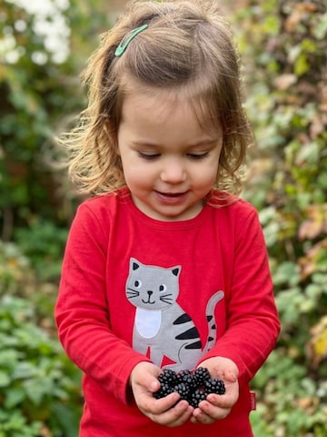 Toby Tiger Shirt‌ in Rot