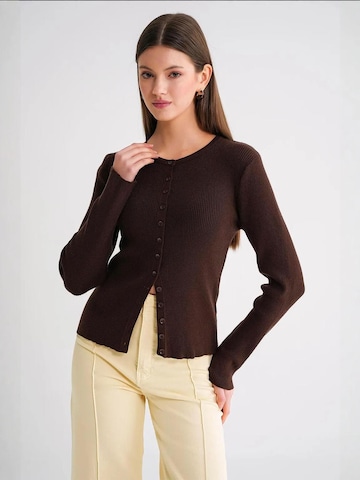 Giacchetta di MixRay in marrone