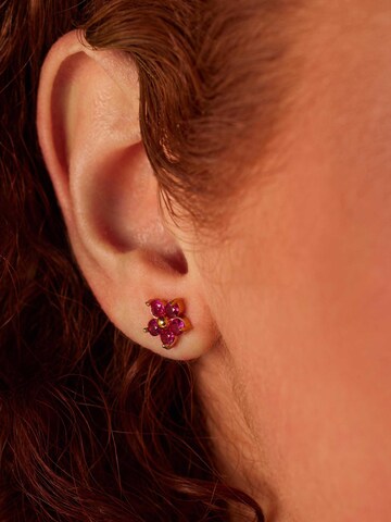 Lucardi Earrings in Gold: front
