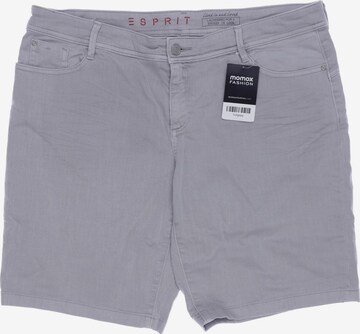 ESPRIT Shorts 42 in Grau: predná strana