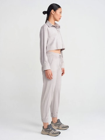 Dilvin Shirt in Grijs