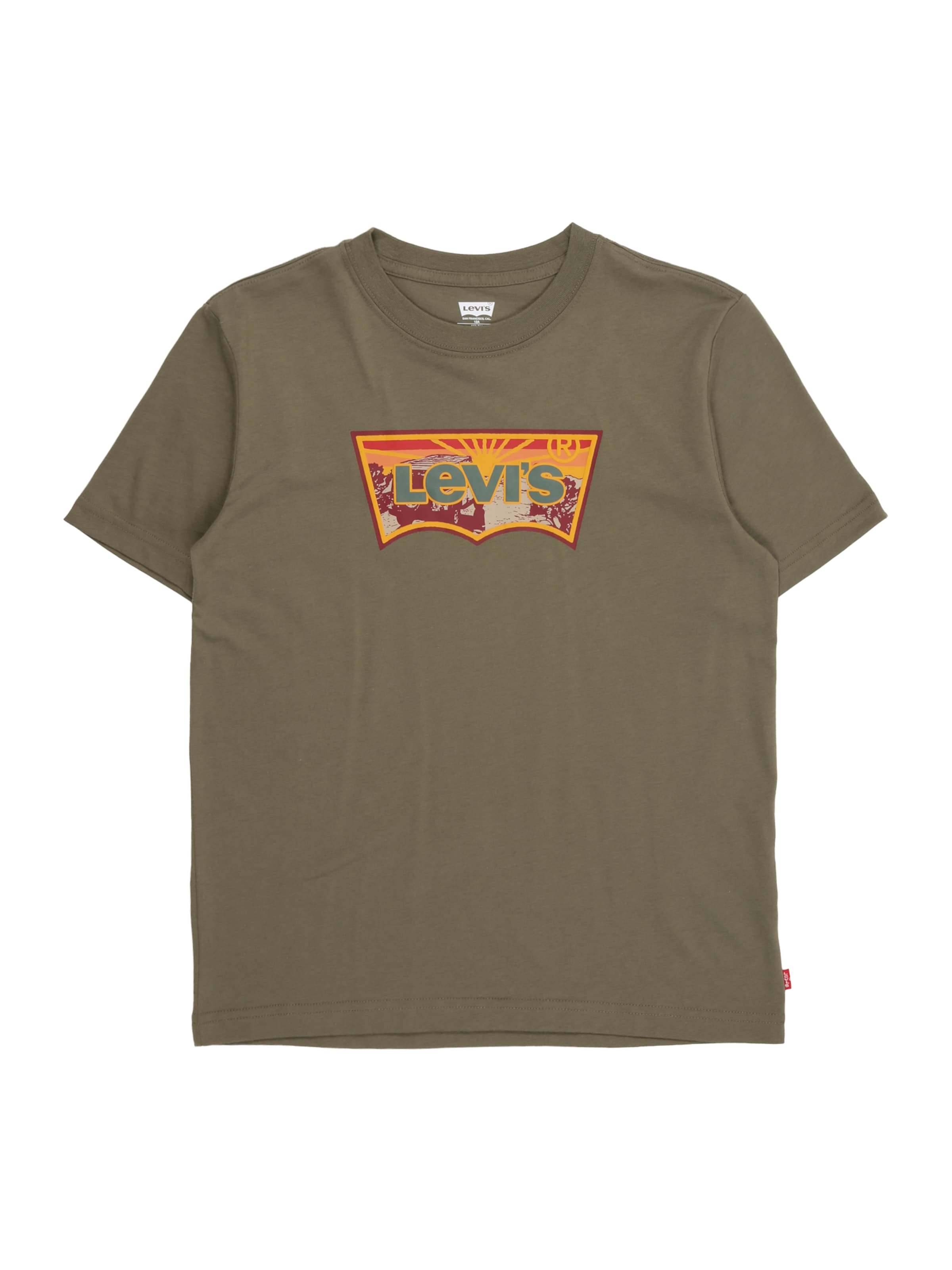 Levi's Kids Tričko 'SUNRISE DESERT' - Zelená: predná strana