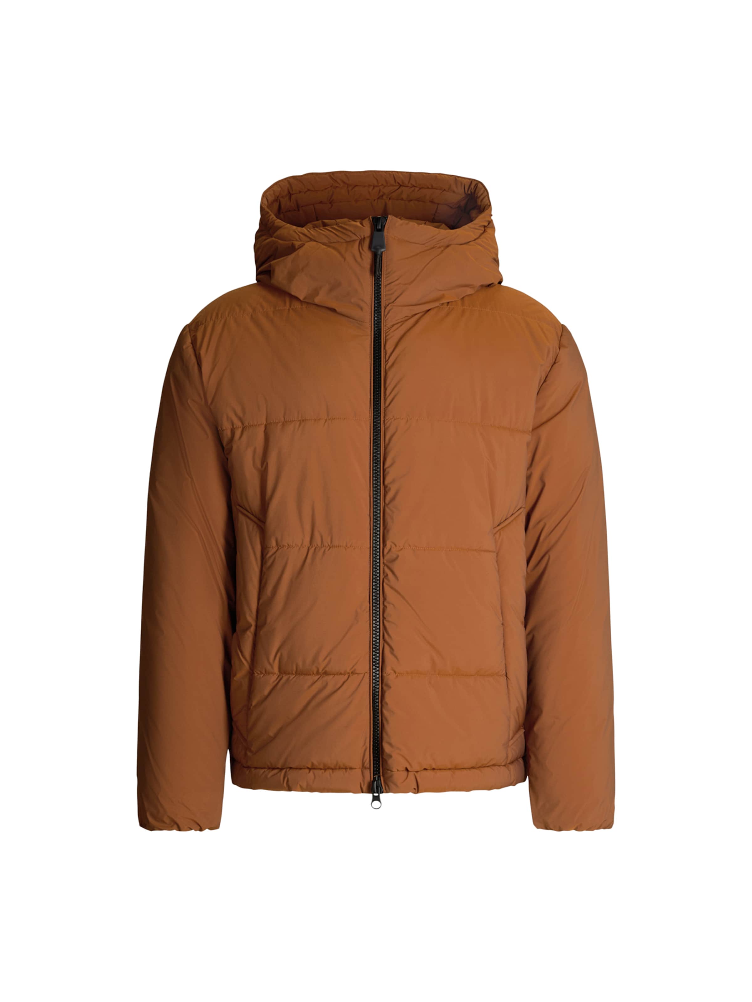STRELLSON Winter Jacket 'Smooth' in Brown: front