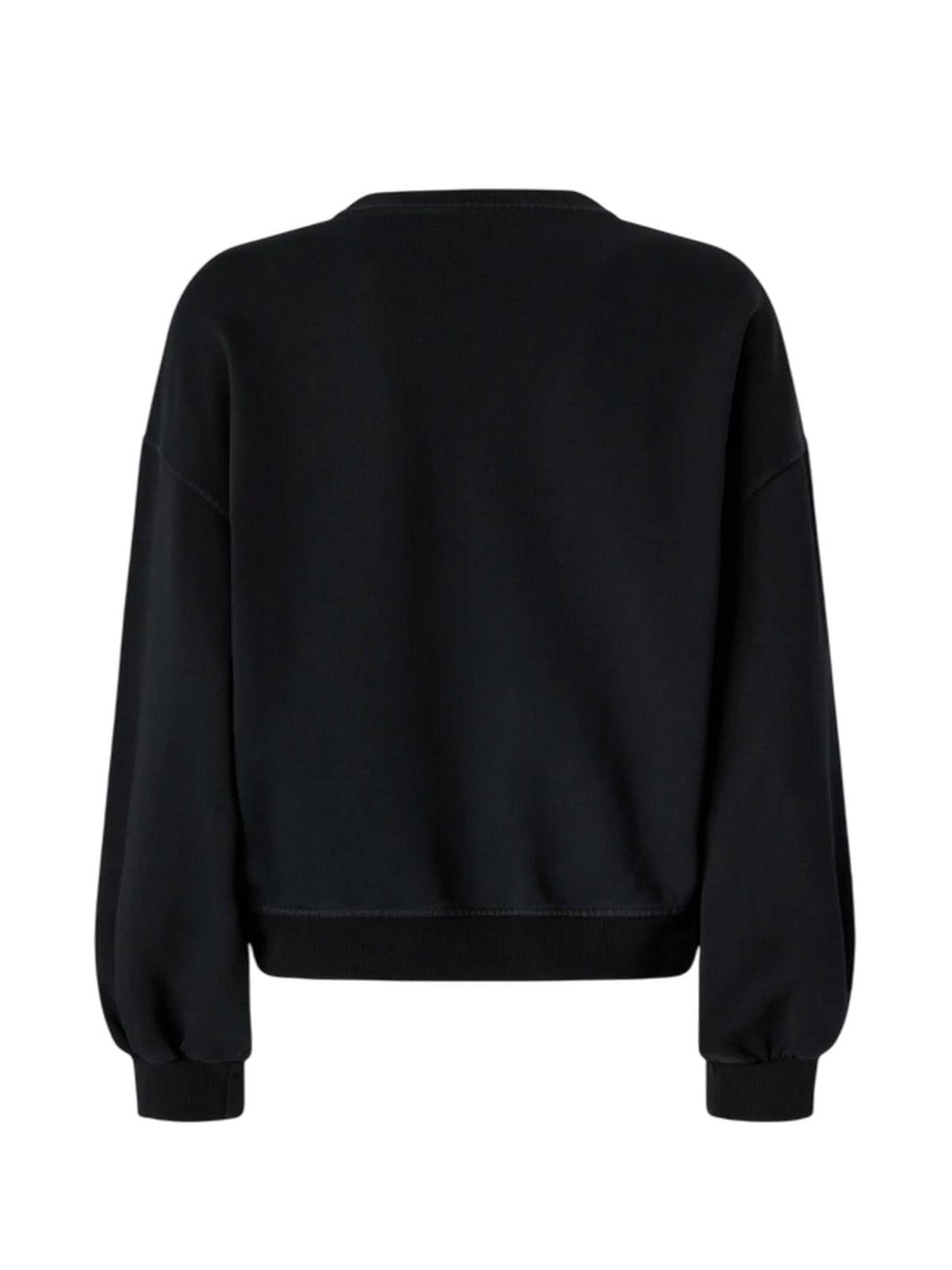 PINKO Sweatshirt in Zwart