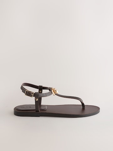 Next Zehentrenner in Braun