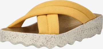 Asportuguesas Pantolette in Gelb: Vorderseite