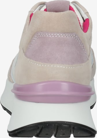 Nero Giardini Sneaker in Beige