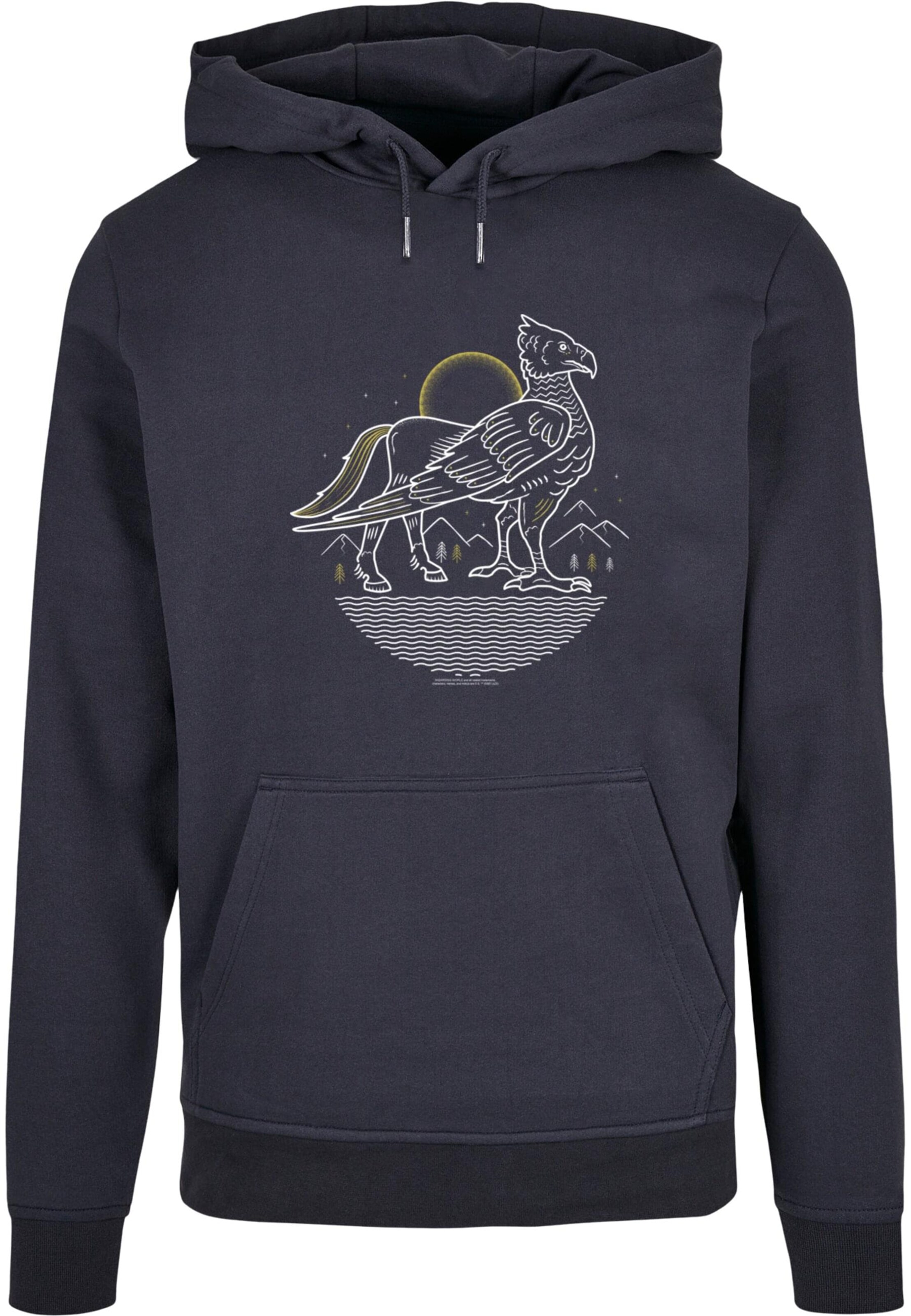 ABSOLUTE CULT Sweatshirt 'Harry Potter - Buckbeat' in Blau: Vorderseite