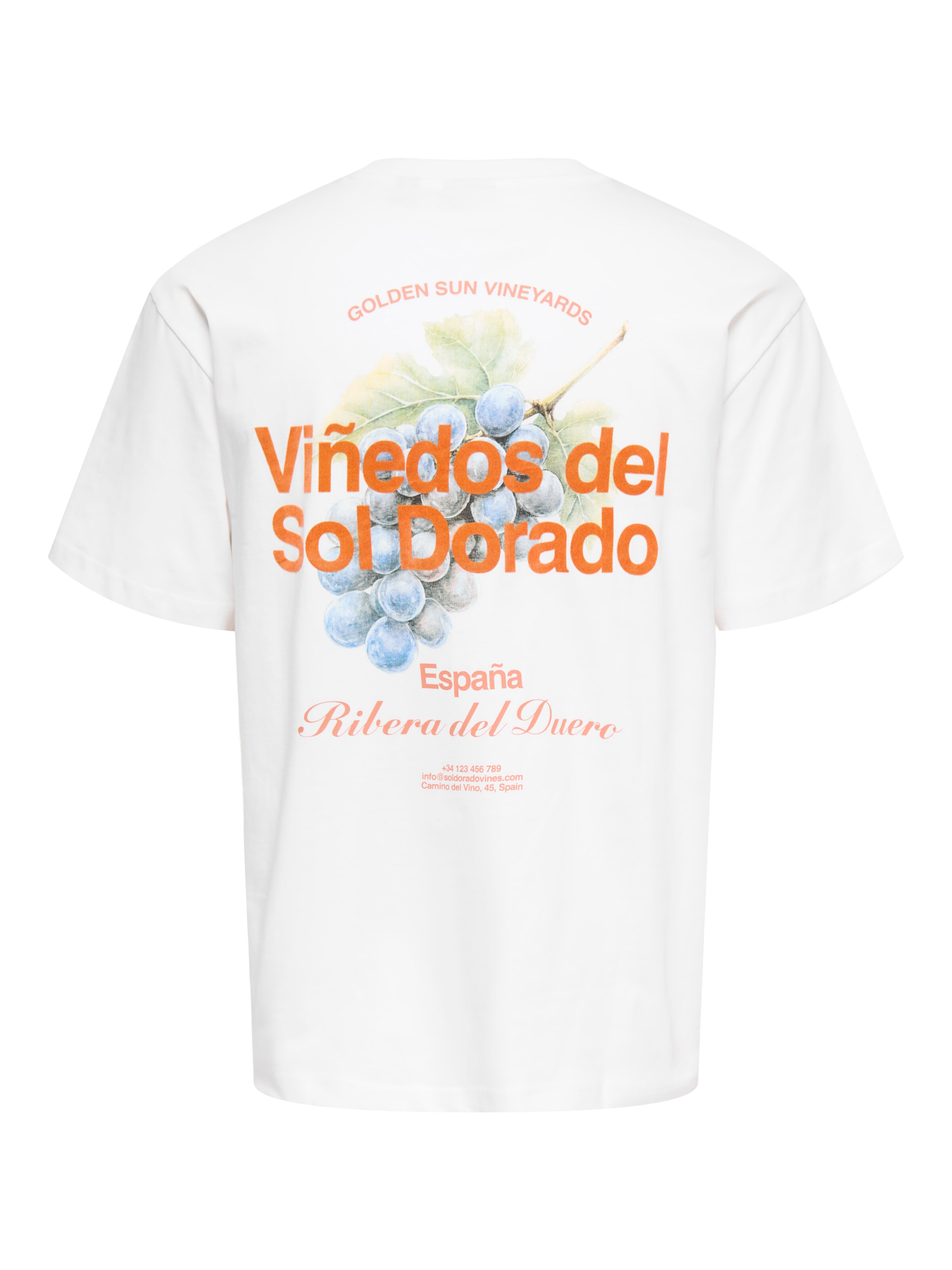 Only & Sons Shirt in White: front
