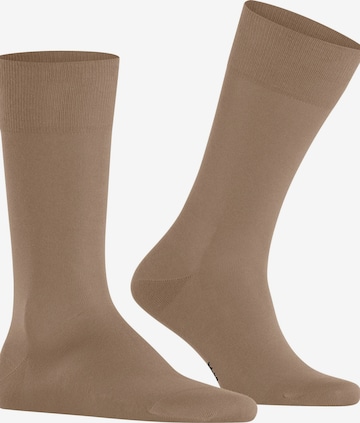 FALKE Socks 'Cool 24/7' in Beige: front