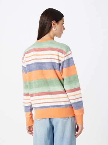 Polo Ralph Lauren Sweatshirt in Mixed colors