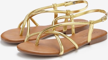 LASCANA T-Bar Sandals in Gold