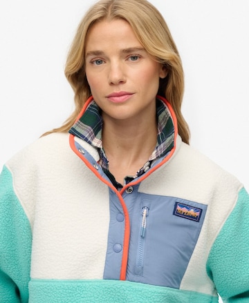 Superdry Trui in Groen