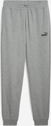PUMATapered Sportske hlače 'Ess No. 1' - siva boja: prednji dio