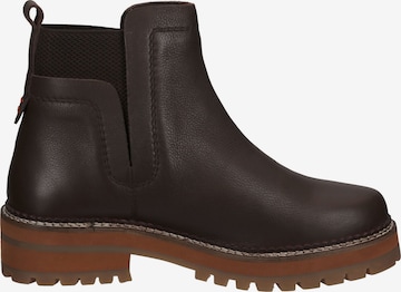 SANSIBAR Chelsea Boots in Brown