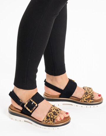 ARA Sandalen met riem in Zwart