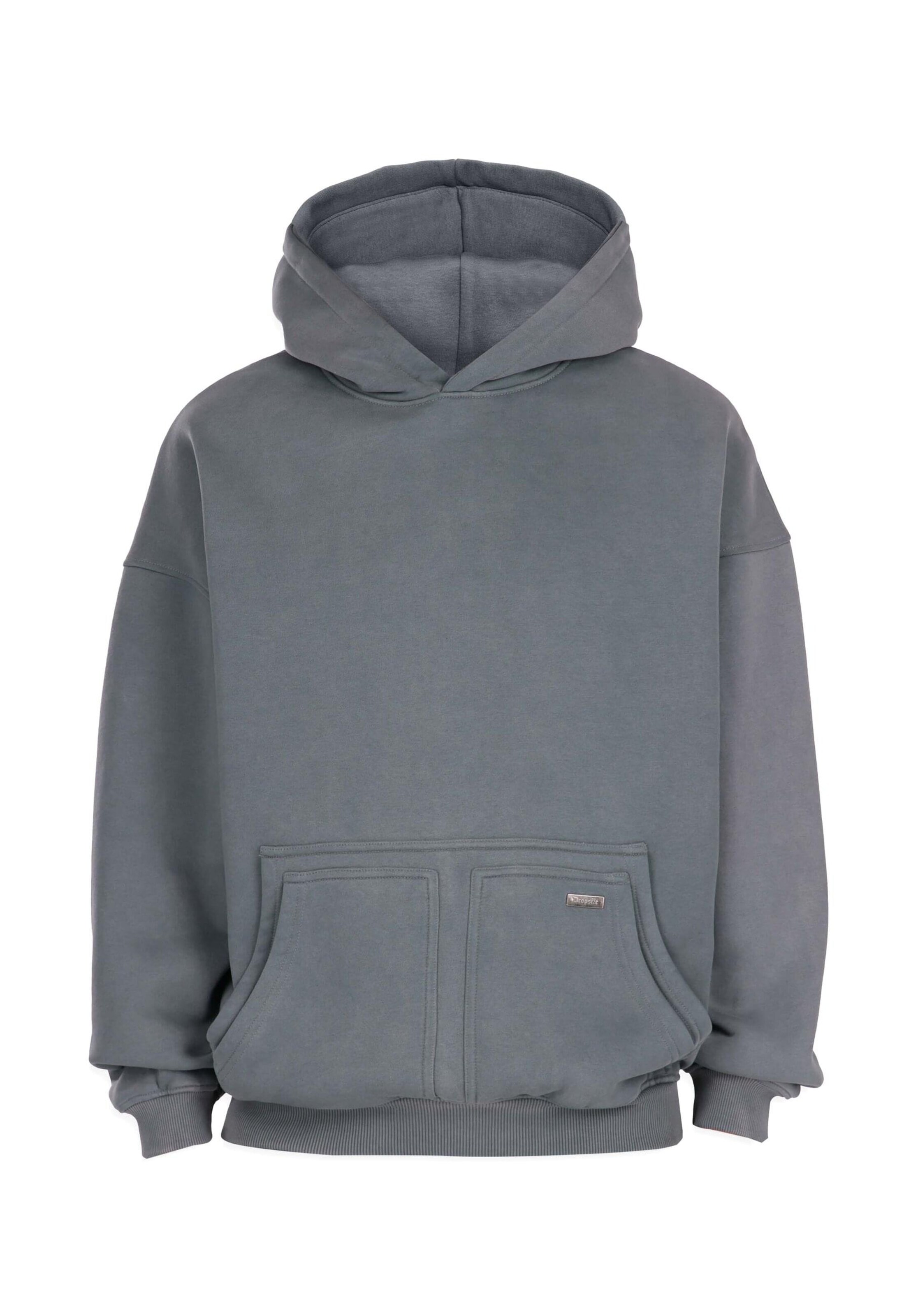 Dropsize Sweatshirt in Grey: front