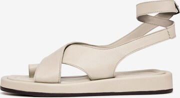 CESARE GASPARI Sandals in Beige: front