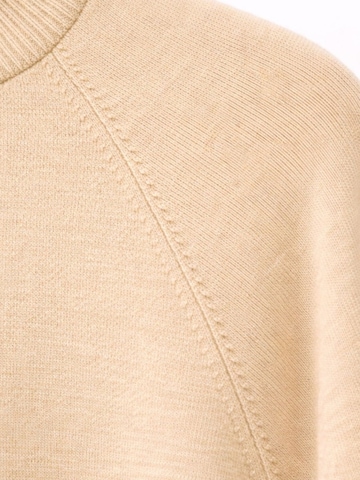 Pullover 'Pullover' di MixRay in beige