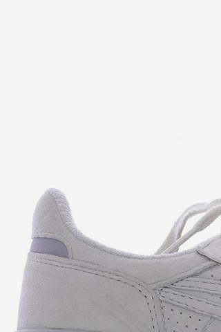 Onitsuka Tiger Sneakers & Trainers in 37 in White