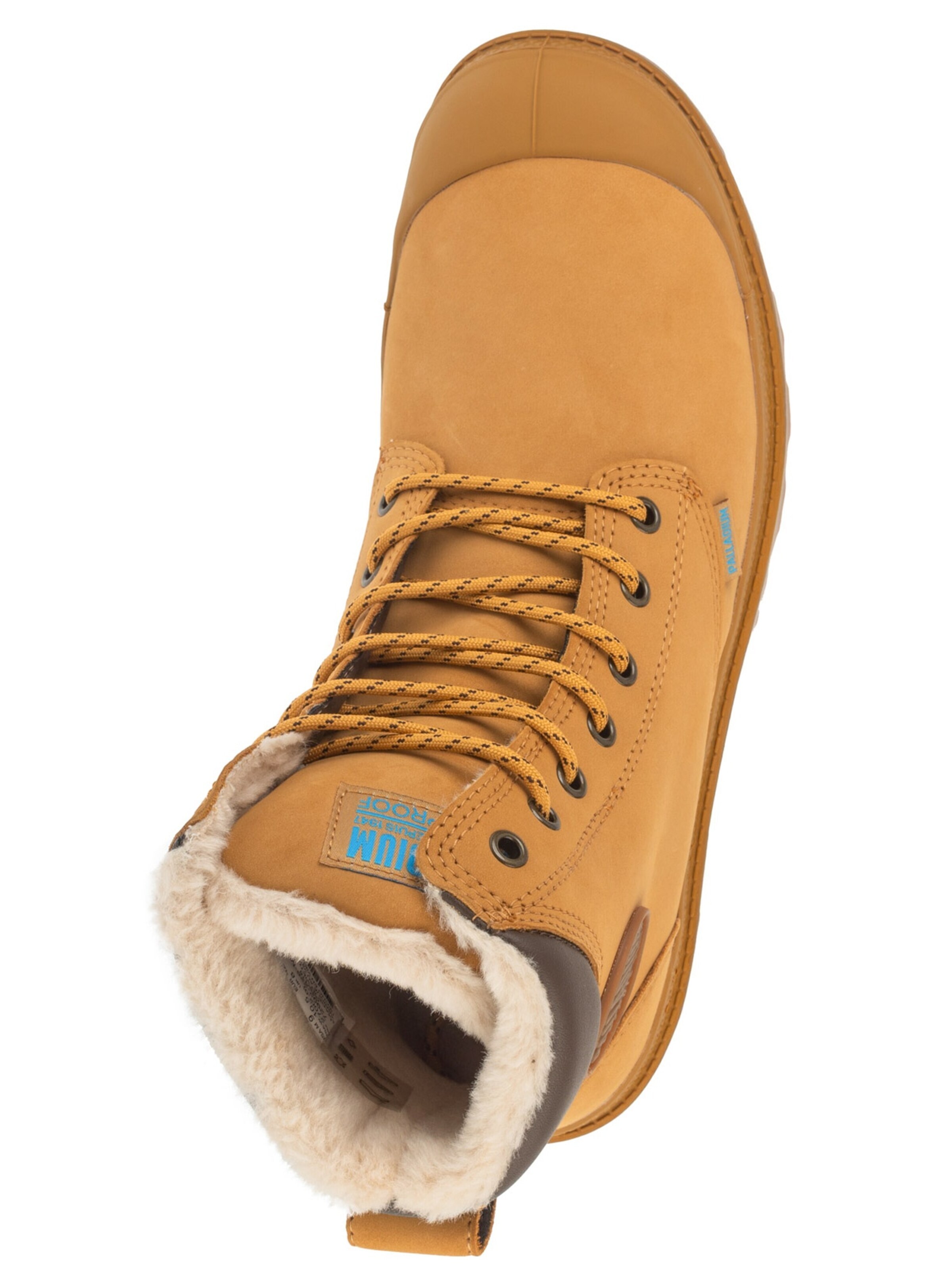 Palladium High-top trainers 'Palladium Pampa Sport  WPS' in Brown