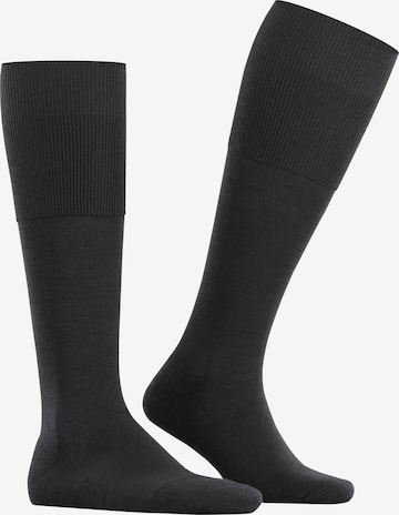 FALKE Knee High Socks 'Airport Plus' in Black: front