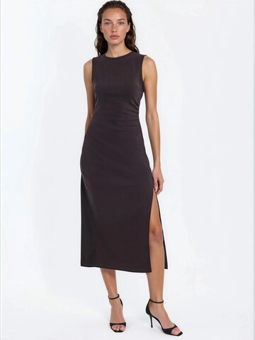 Hiccup Dress in Brown: front