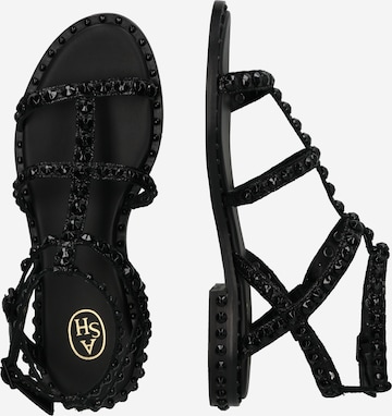 ASH Strap sandal in Black