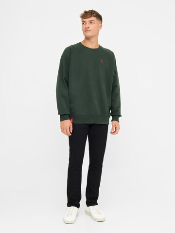 Derbe Sweatshirt in Grün