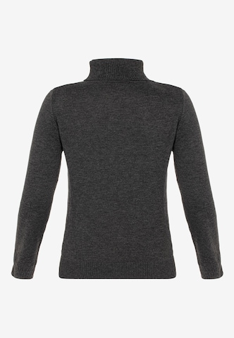 CIPO & BAXX Pullover in Grau