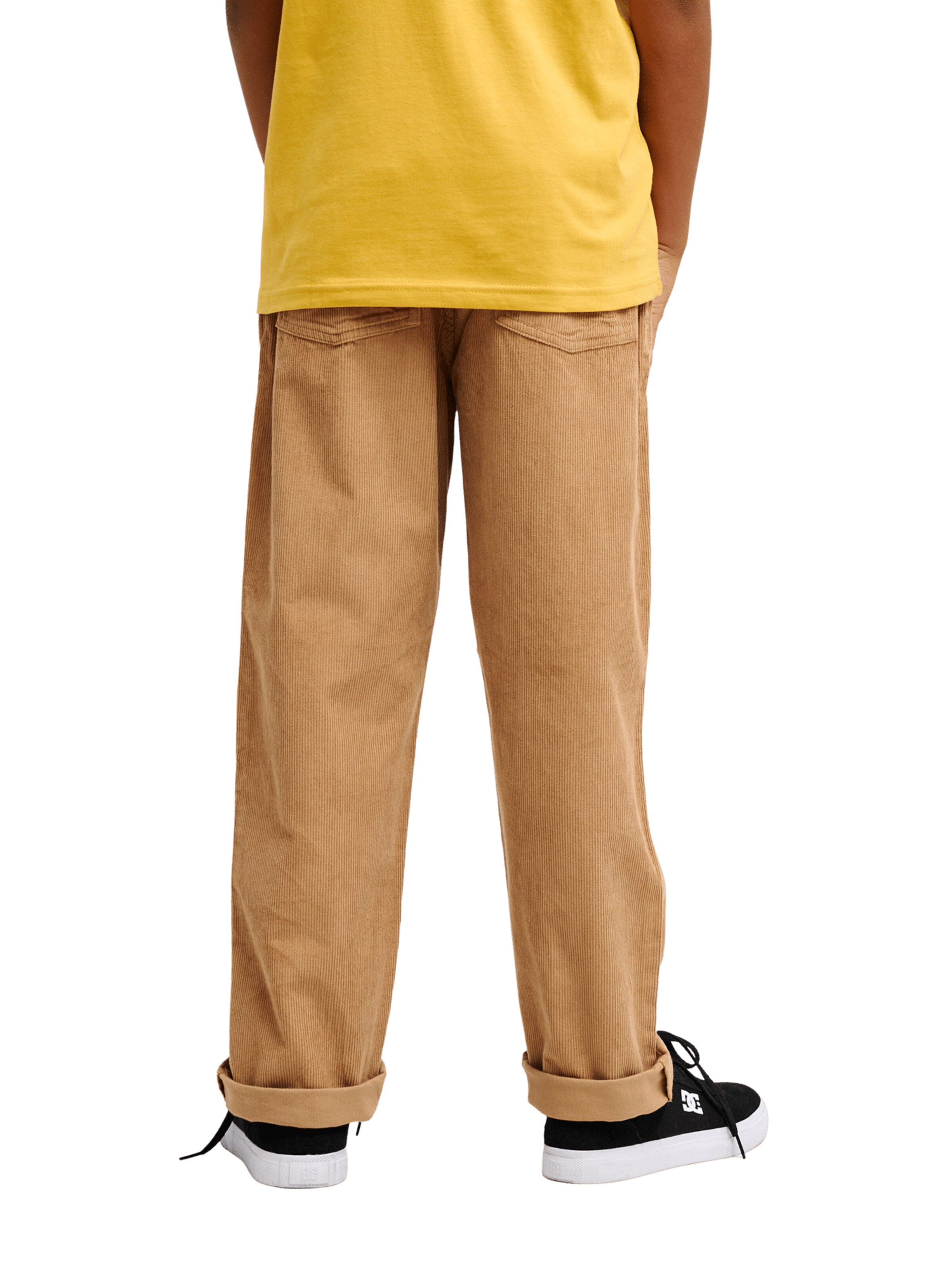 QUIKSILVER Regular Pants 'Taxer' in Brown