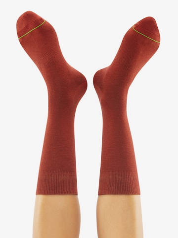 CHEERIO* Socks 'Herringbone Homie' in Red: front