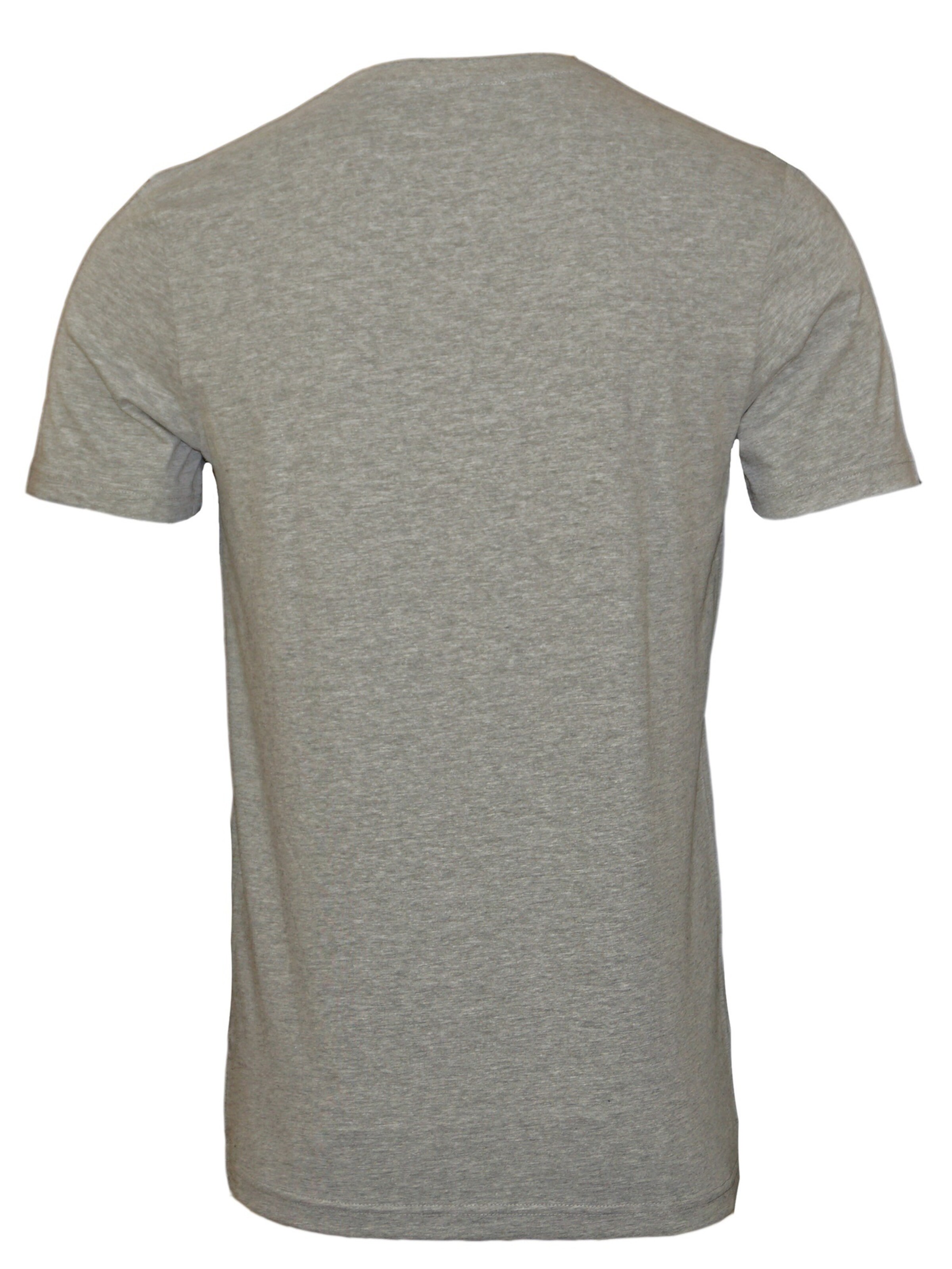 U.S. POLO ASSN. Shirt in Grey