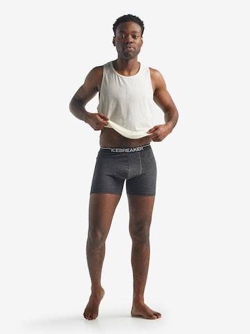 ICEBREAKER Sports underpants 'Anatomica' in Black