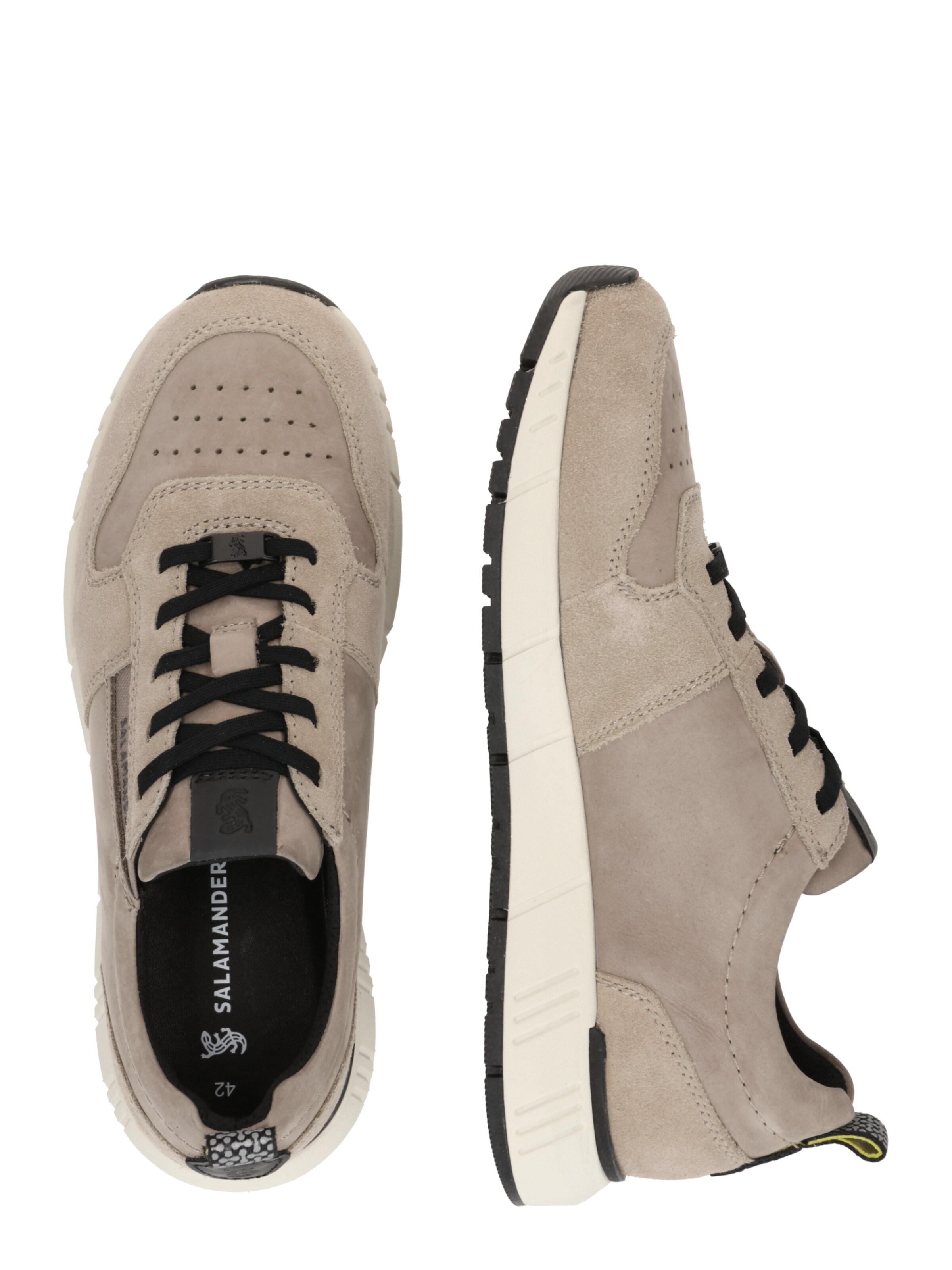 SALAMANDER Низкие кроссовки 'Asa' в Серый