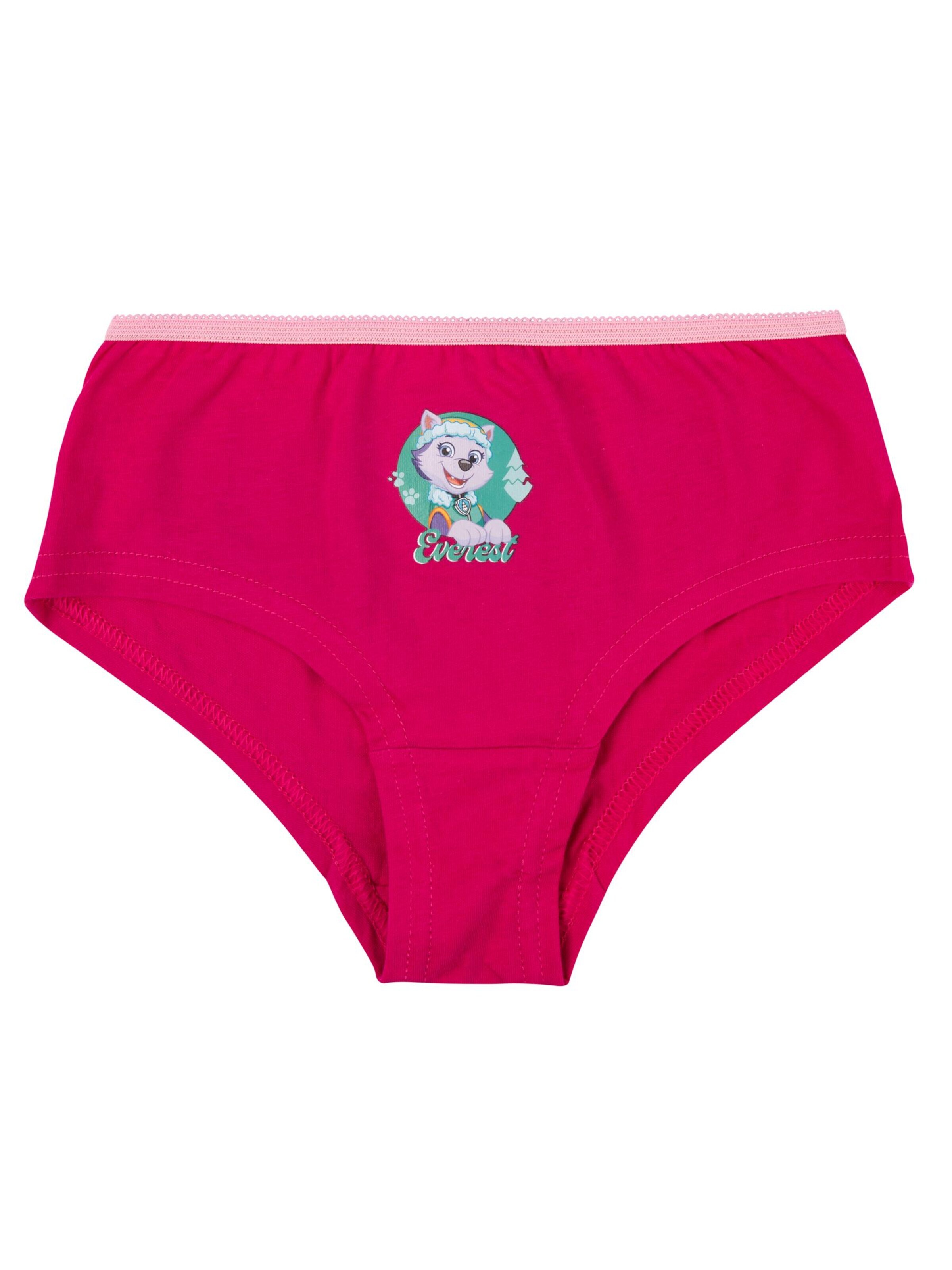 Paw Patrol Underpants in Pink