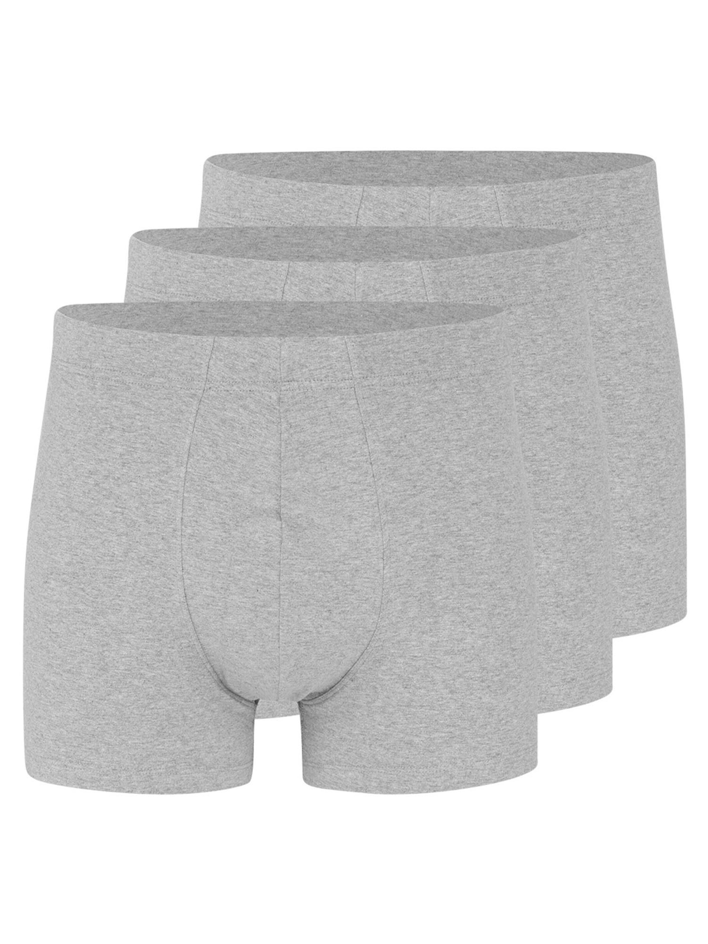 Almonu Boxer shorts 'Cotton' in Grey: front