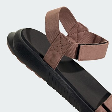 Sandales 'Hydroterra' ADIDAS TERREX en marron