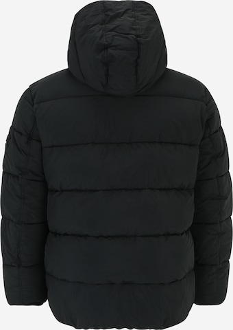 Calvin Klein Big & Tall Winter jacket in Black